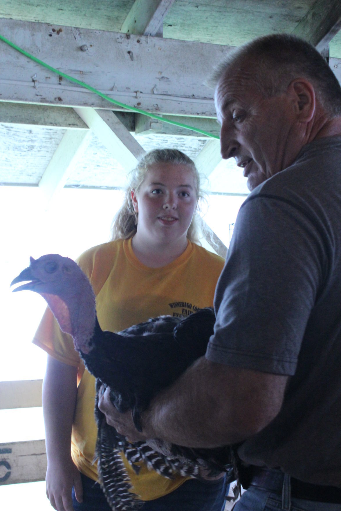 Poultry Show 8